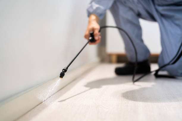 Licensed Pest Control service in Fair Haven, NY - Show Me Pest Control