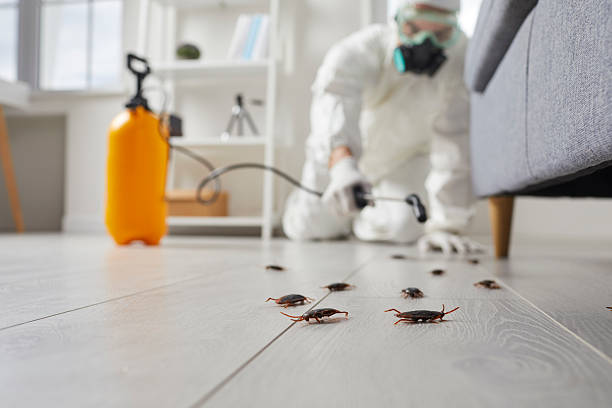 Commercial Kitchen Cockroach Control in Fair Haven